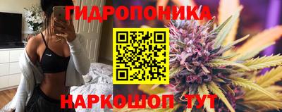 крисы Ставрополь
