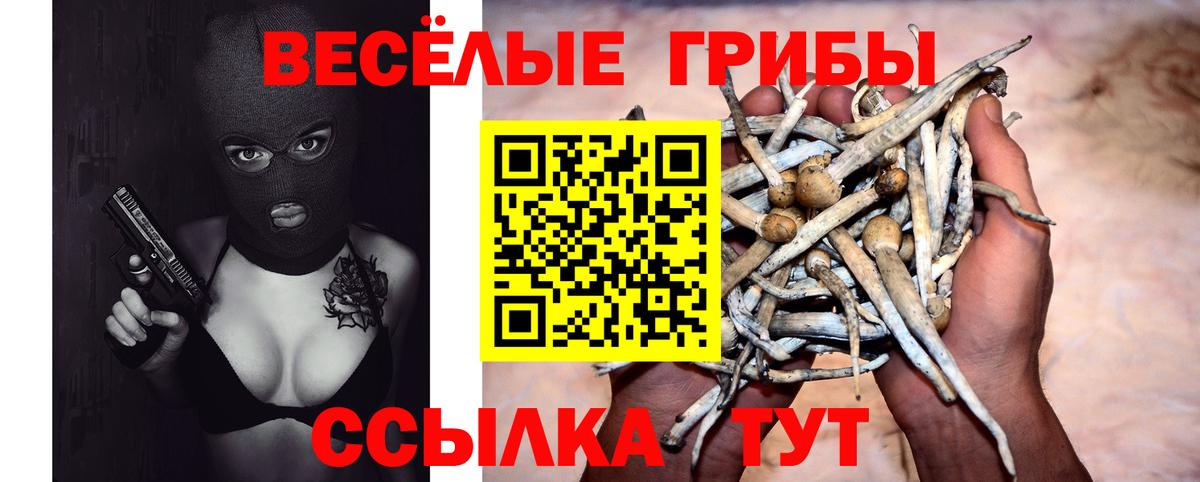 Галлюциногенные грибы Cubensis Борисоглебск